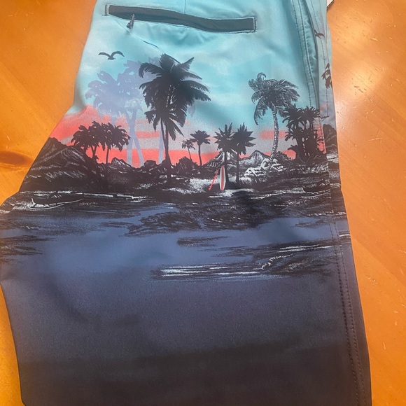 Burnside Men's Aqua Scenic Stretch Swim Board Shorts NWT - Picture 8 of 12